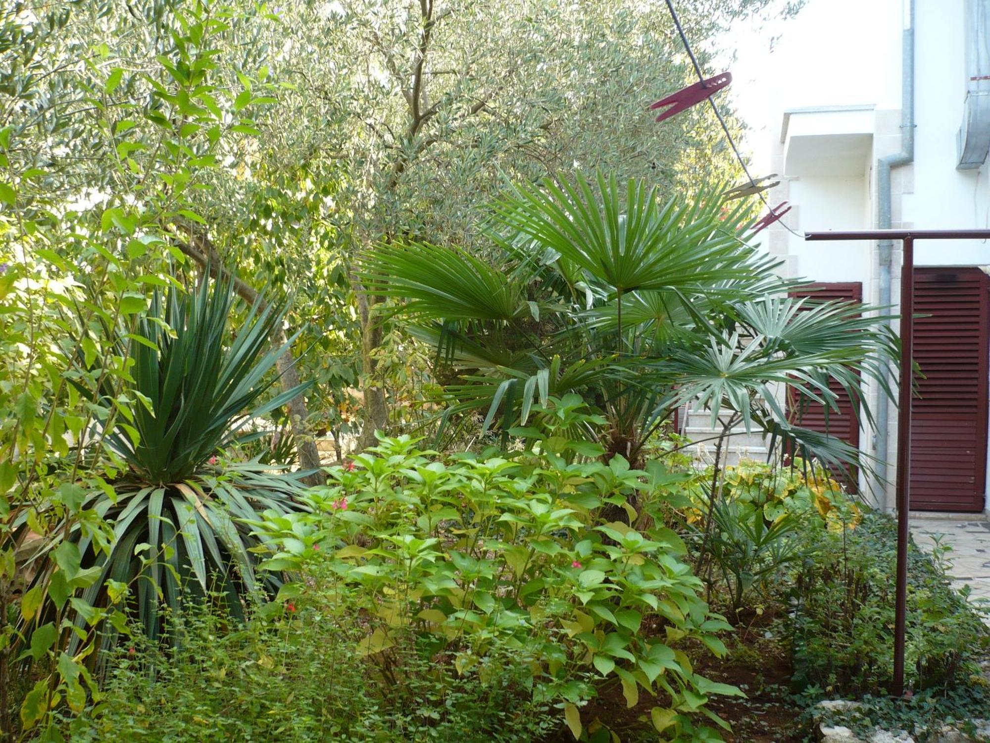 Apartments Finida Porec Ngoại thất bức ảnh